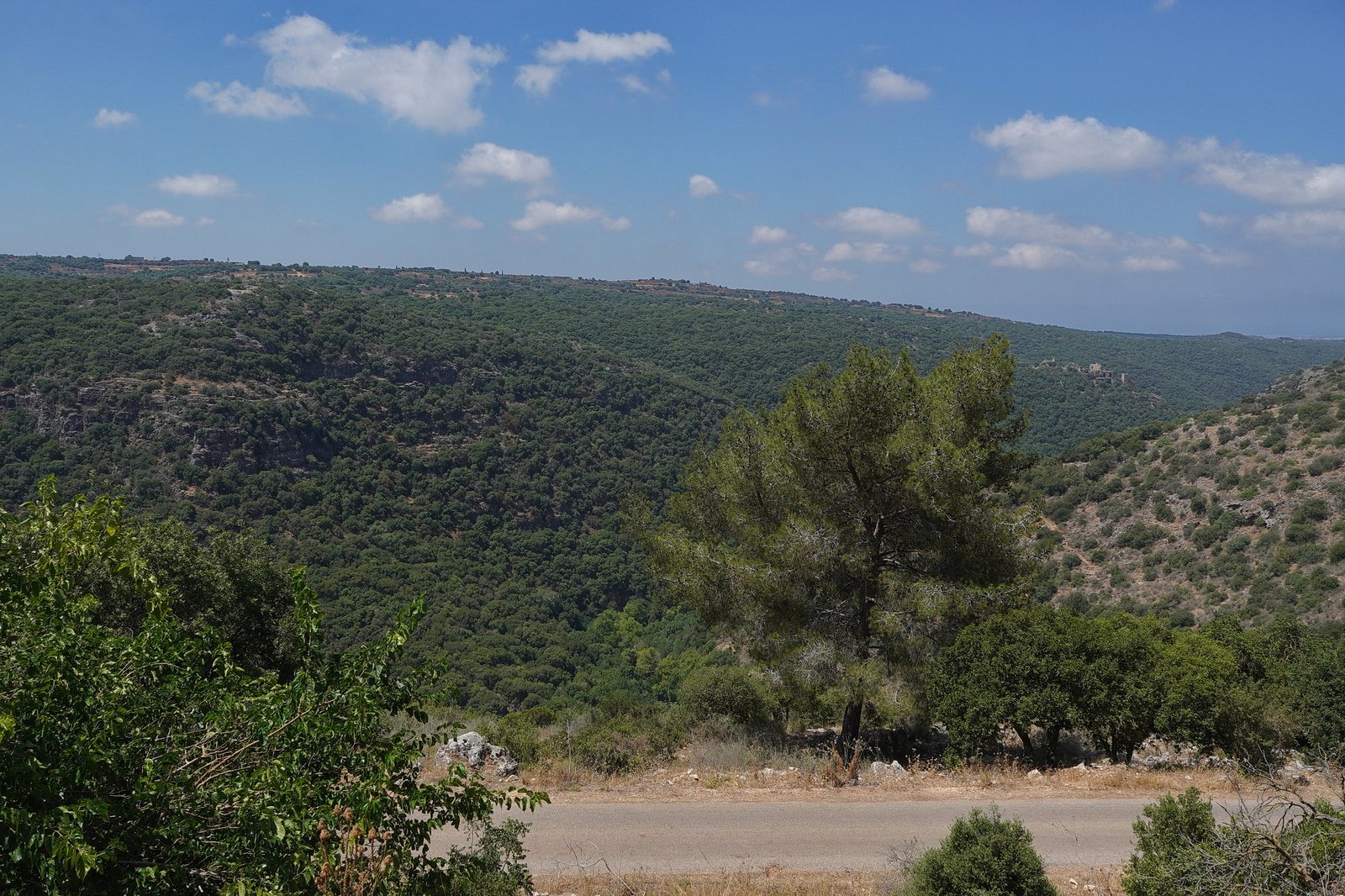 הרוח הגלילית - וילת מנדלסון נוף