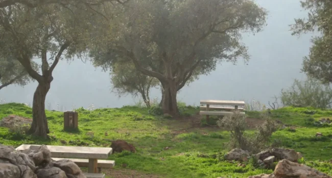 עיצוב ללא שם (6)